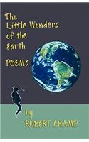 Little Wonders of the Earth