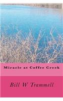 Miracle at Coffee Creek