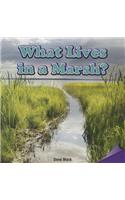 What Lives in a Marsh?