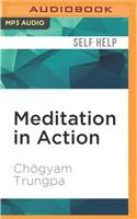 Meditation in Action