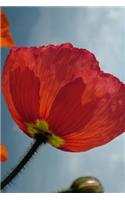 View from Underneath a Red Icelandic Poppy Flower Garden Journal: 150 Page Lined Notebook/Diary