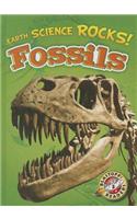Fossils: (Earth Science Rocks!)