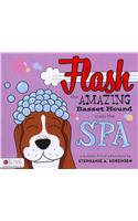 Flash the Amazing Basset Hound Visits the Spa