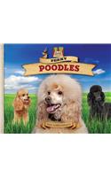 Perky Poodles