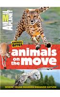 Animals on the Move (Animal Planet Animal Bites)
