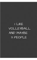 I Like Volleyball and Maybe 3 People