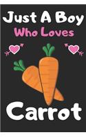 Just a boy who loves carrot: A Super Cute carrot notebook journal or dairy - carrot lovers gift for boys - carrot lovers Lined Notebook Journal (6"x 9")