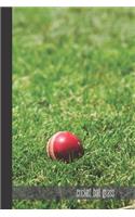 cricket ball grass