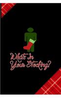 Whats In Your Stocking?: Notebook Journal Composition Blank Lined Diary Notepad 120 Pages Paperback Red and Black Naughty Xmas