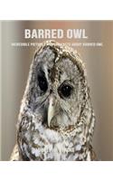Barred Owl