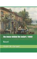 The House Behind the Cedars (1900): Novel