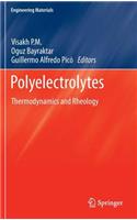 Polyelectrolytes: Thermodynamics and Rheology(Engineering Materials)