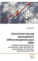 Numerische Lösung stochastischer Differentialgleichungen (SDE)