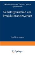 Selbstorganisation Von Produktionsnetzwerken