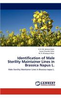 Identification of Male Sterility Maintainer Lines in Brassica Napus L.