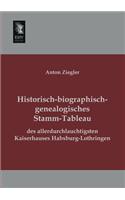 Historisch-Biographisch-Genealogisches Stamm-Tableau Des Allerdurchlauchtigsten Kaiserhauses Habsburg-Lothringen