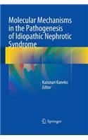 Molecular Mechanisms in the Pathogenesis of Idiopathic Nephrotic Syndrome