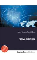 Carya Laciniosa: (English)