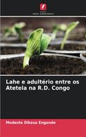 Lahe e adultério entre os Atetela na R.D. Congo