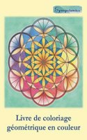 Livre de Coloriage Geometrique En Couleur