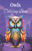 Owls Coloring Book