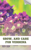 Grow, and Care for Verbena