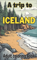 trip to Iceland, Adult coloring Book