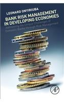 Bank Risk Management in Developing Economies
