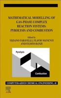 Mathematical Modelling of Gas-Phase Complex Reaction Systems: Pyrolysis and Combustion