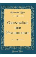 Grundzï¿½ge Der Psychologie (Classic Reprint)