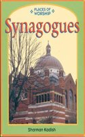 Places of Worship: Synagogues Paperback