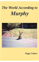 World According to Murphy