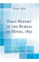 First Report of the Bureau of Mines, 1891 (Classic Reprint)