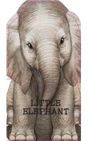Little Elephant