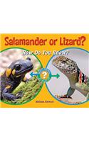 Salamander or Lizard?