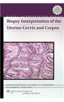 Biopsy Interpretation of the Uterine Cervix and Corpus