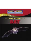 The Life Cycle of a Bat: (Things with Wings)