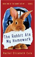 Rabbit Ate My Homework