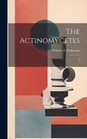 The Actinomycetes