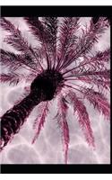 Pink Palm Tree