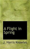A Flight in Spring