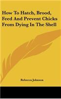How To Hatch, Brood, Feed And Prevent Chicks From Dying In The Shell: (English)