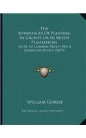 The Advantages Of Planting In Groups Or In Mixed Plantations