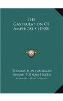 The Gastrulation Of Amphioxus (1900)
