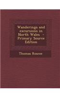 Wanderings and Excursions in North Wales - Primary Source Edition