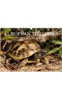 European Tortoises / UK-Version 2017