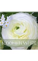 Blooms in White 2018: Charming White Blossoms(Calvendo Nature)