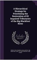 A Hierarchical Strategy for Prioritizing the Restoration of 83 Impaired Tributaries of the Big Blackfoot River