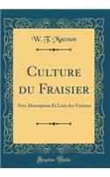 Culture Du Fraisier