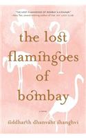 The Lost Flamingoes of Bombay